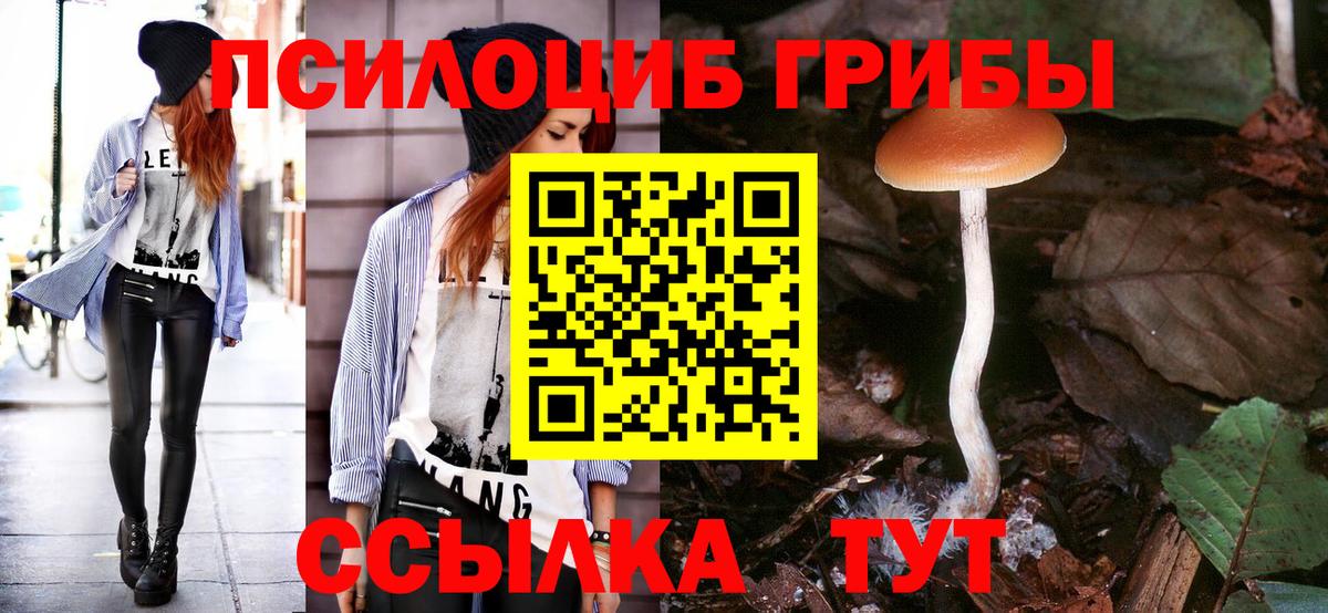 Галлюциногенные грибы мицелий Кандалакша