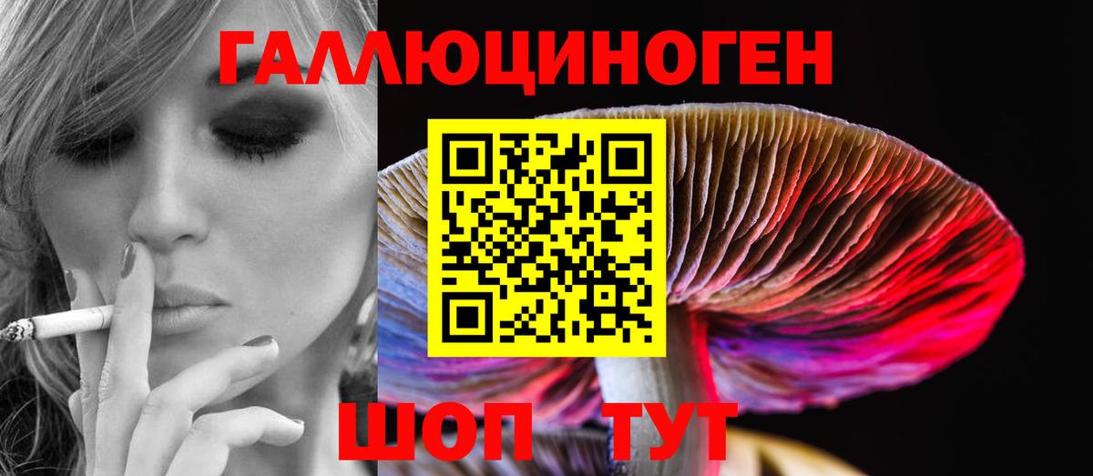 Галлюциногенные грибы мухоморы  Псилоцибиновые грибы ЛСД  Кандалакша  Вход с VPN 