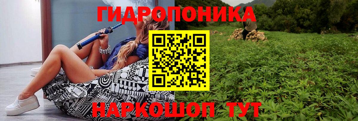 Шишки марихуана планчик  Канабис Ganja  Бошки марихуана индика  Каннабис White Widow  Кандалакша  Вход с VPN 